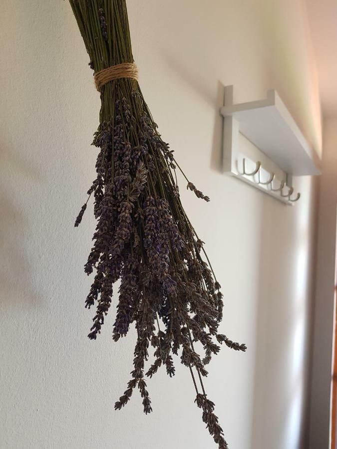 Apartment Boba Murter Zewnętrze zdjęcie